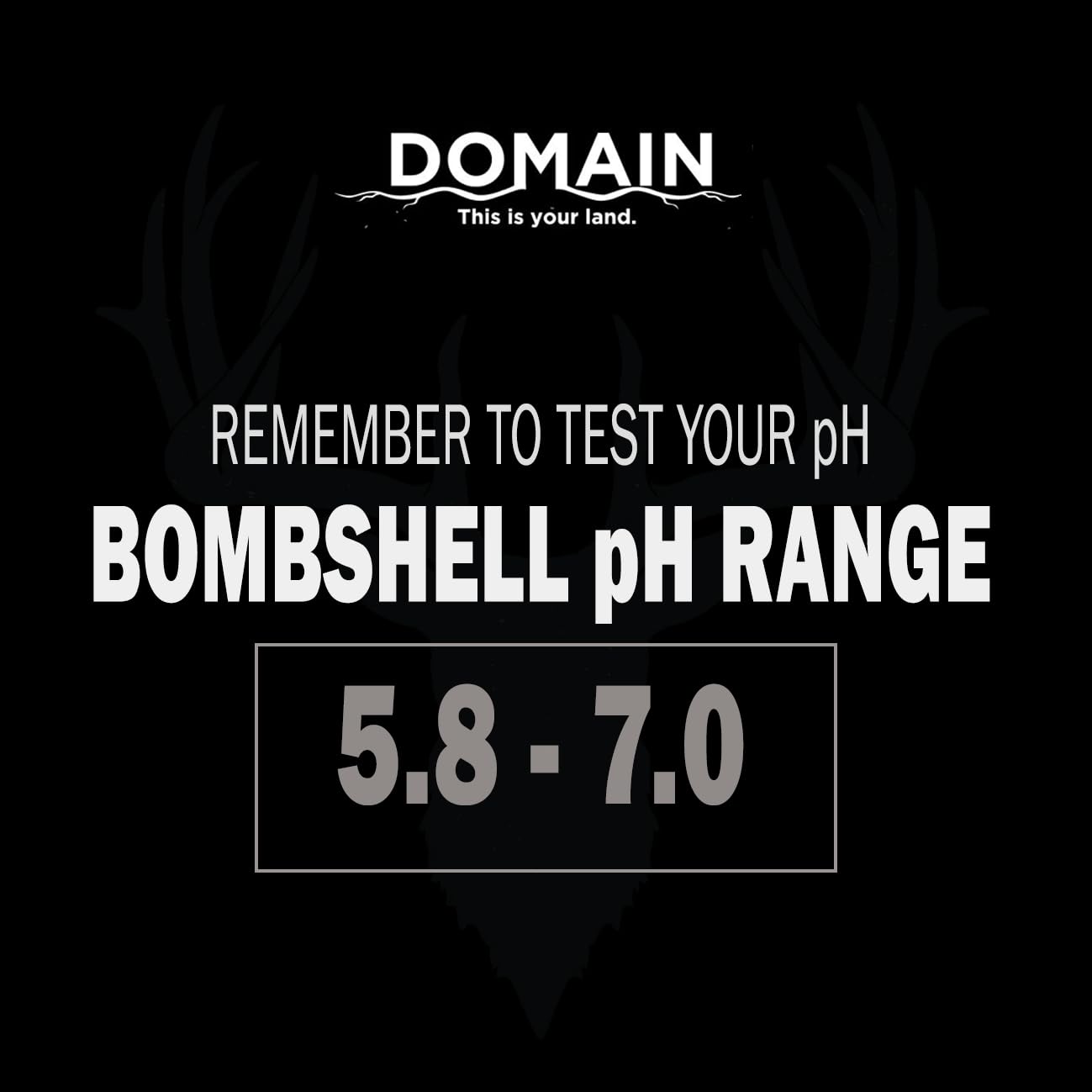 Domain Outdoor Bombshell reusable container shown after planting.