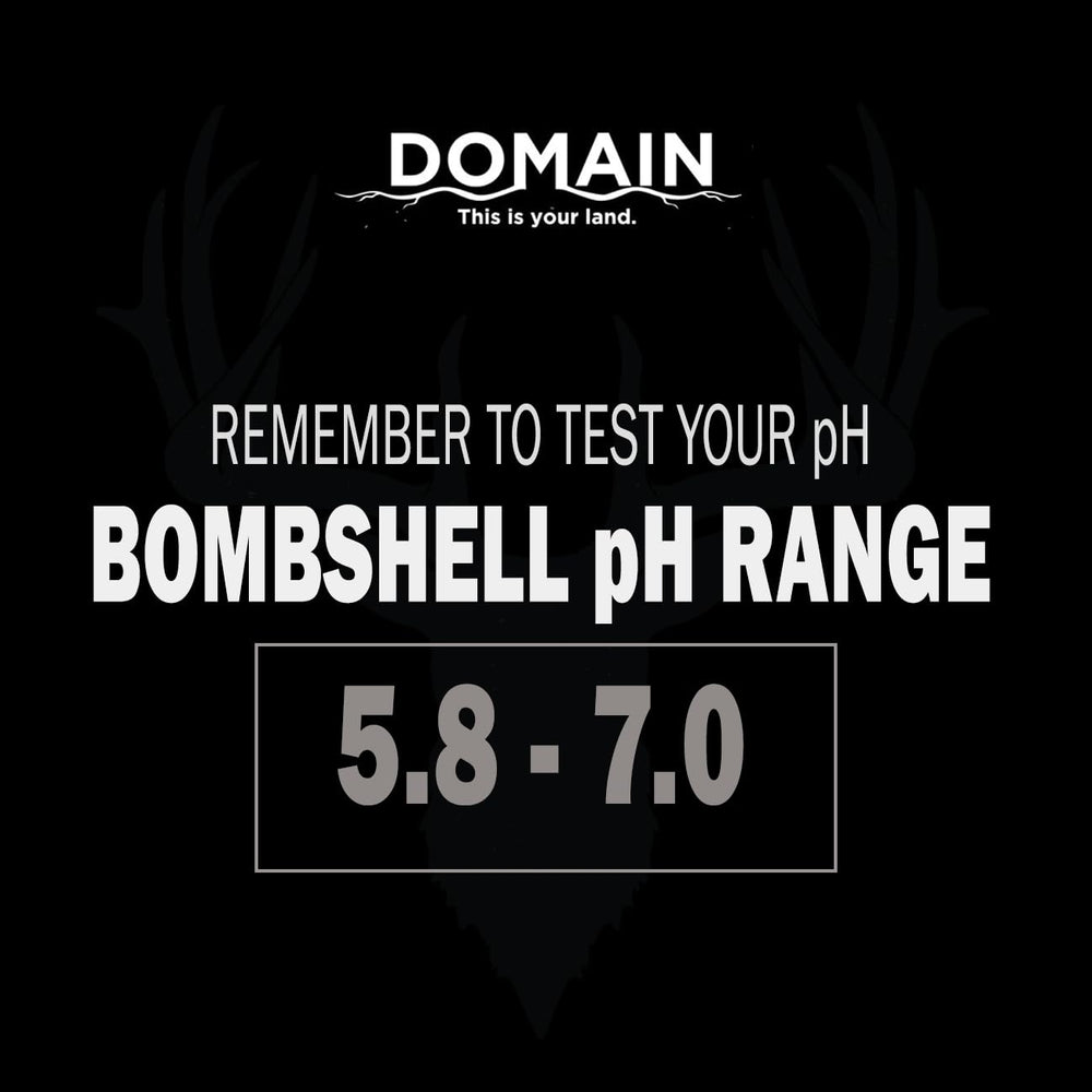Domain Outdoor Bombshell reusable container shown after planting.
