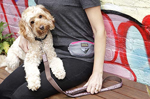 DOOG Mini Belt Stella worn during a walk or jog