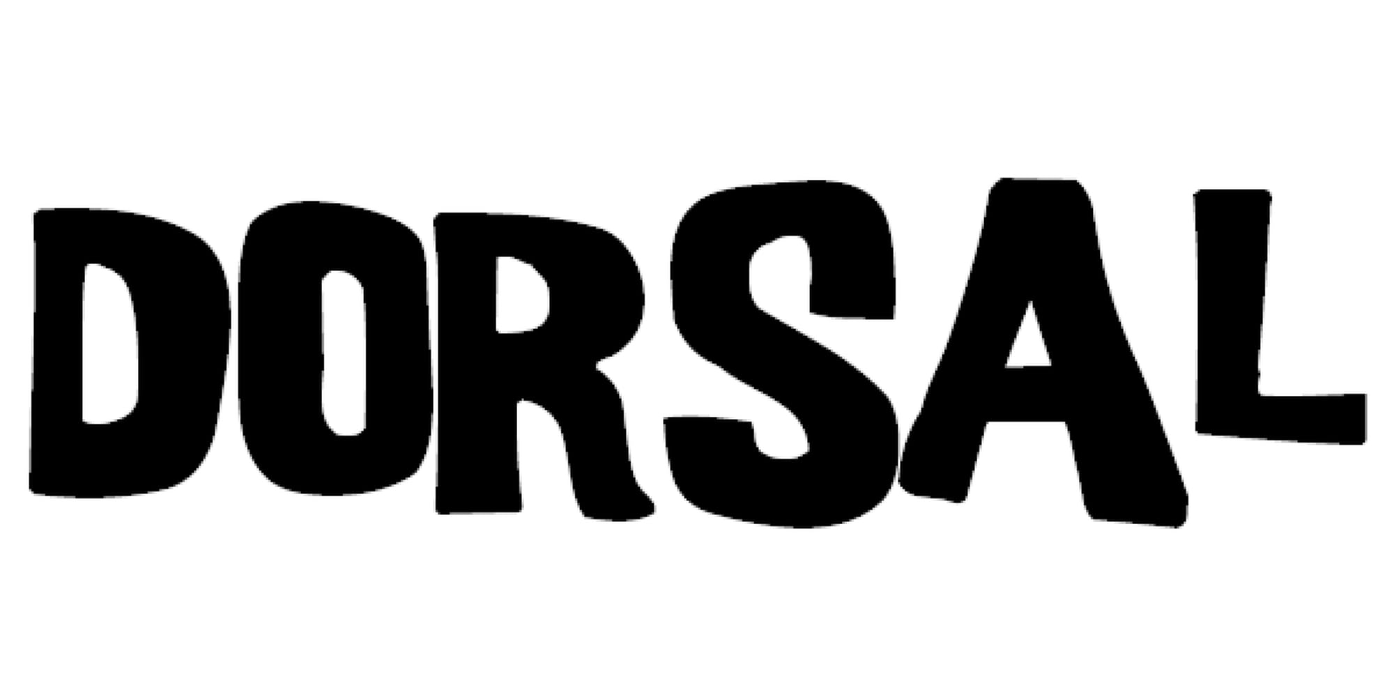 DORSAL pads cushion surfboards, SUPs and boats during transport on roof racks