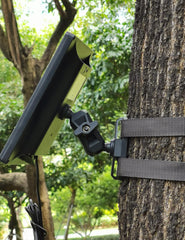 Dosarzo mount on tree branch shows versatile field placement.