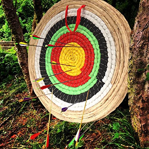 Dostyle archery target art-collection display showing decorative potential for collectors.