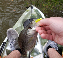 Double Catch Dancing Waxie scented tail lure boosts scent attraction for better holds.