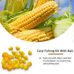 Assorted carp rig hook sizes 2, 4, 6, 8