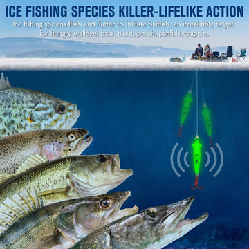 Dovesun ice fishing jigs action during drop and flash
