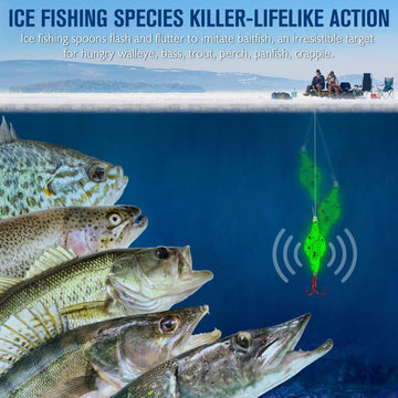 Assorted colors and sizes in Dovesun ice fishing kit