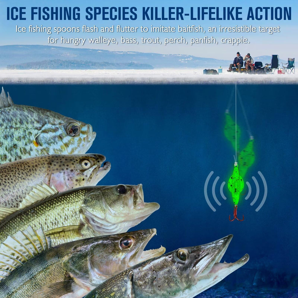 Assorted colors and sizes in Dovesun ice fishing kit