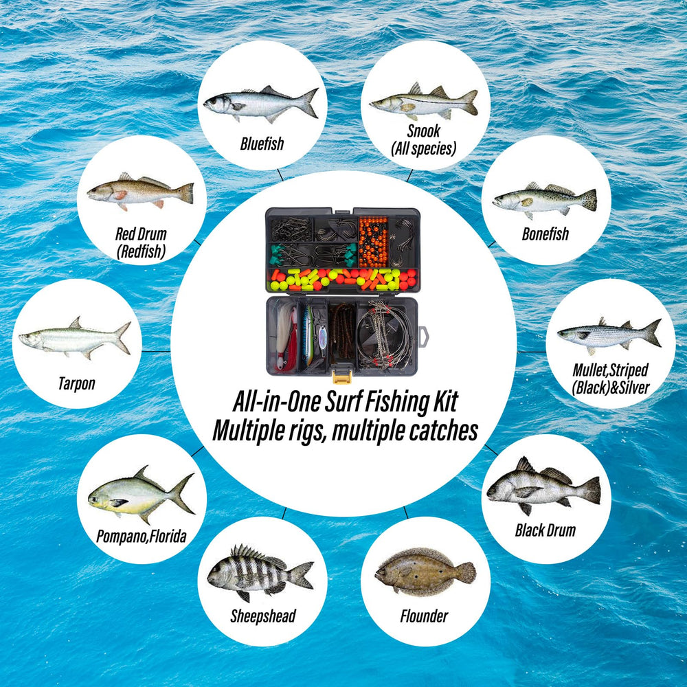 Dr.Fish sturdy double-layer box protects gear during surf trips.