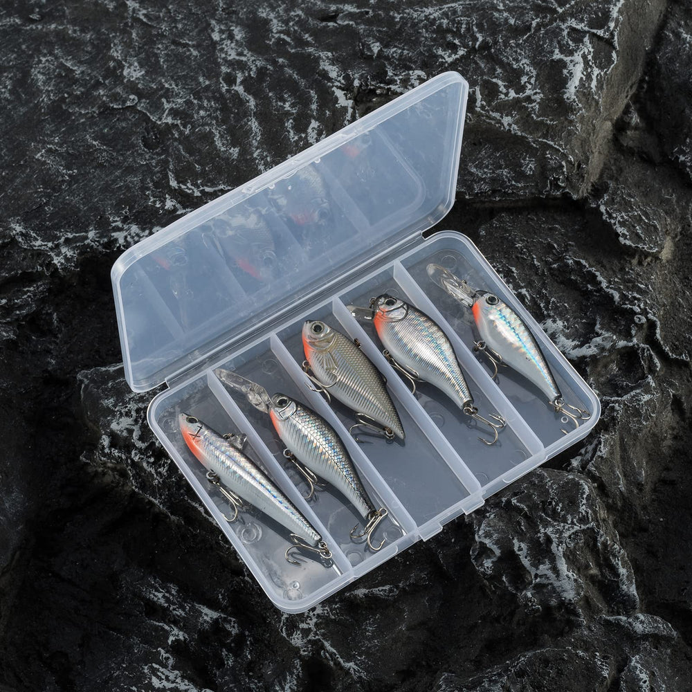 Freshwater fishing scene with bass and perch
