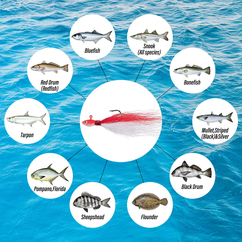Double-layer tackle box with complete surf fishing kit