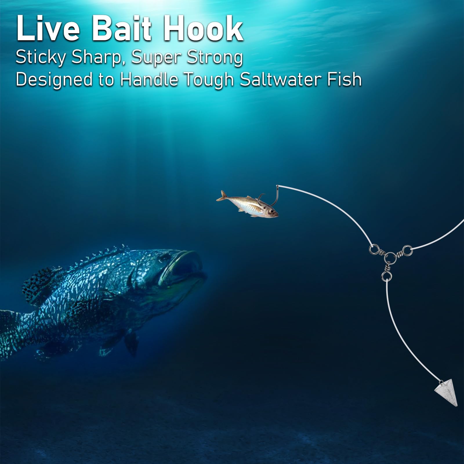 Dr.Fish circle-hook features sharp barb for secure corner-mouth set.