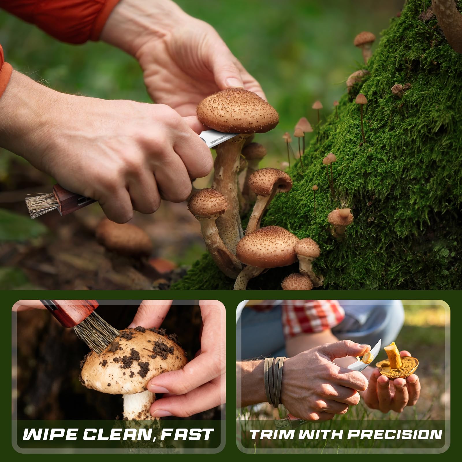 DRACHENADER folding knife with brush for field cleaning.