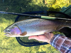 Rod sock and storage tube included with Hellbender starter package