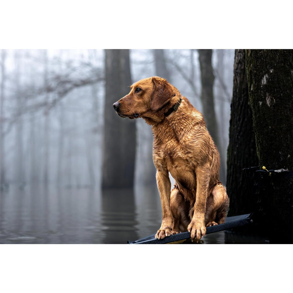 Drake Waterfowl Team Gun Dog TPU Collar with adjustable strap for a custom fit