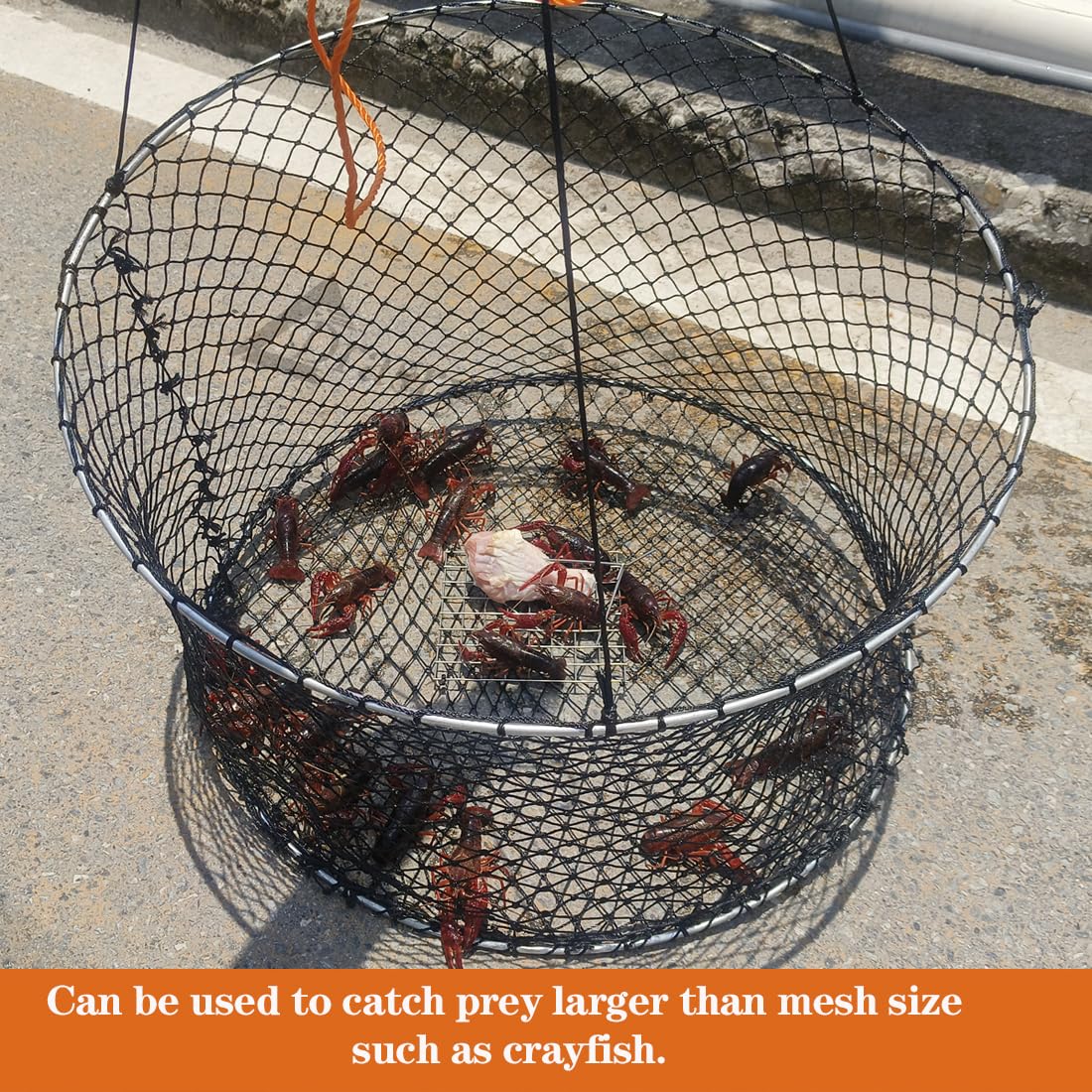 Drasry crab ring trap harness and bait clip for reliable deployment.