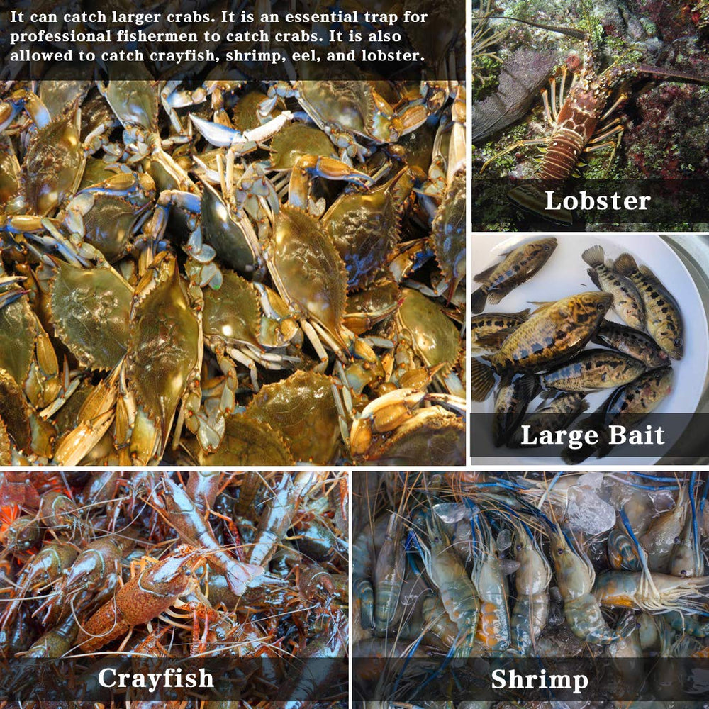 Drasry crab trap flat-bottom design provides stable underwater operation.
