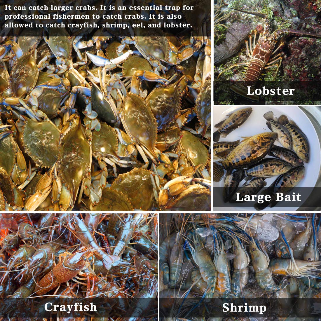 Drasry trap kit includes bait bags and straps for quick setup.