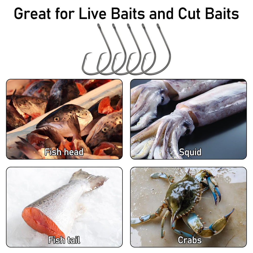 Dr.Fish 100-pack display emphasizes value and convenience for fishing trips.