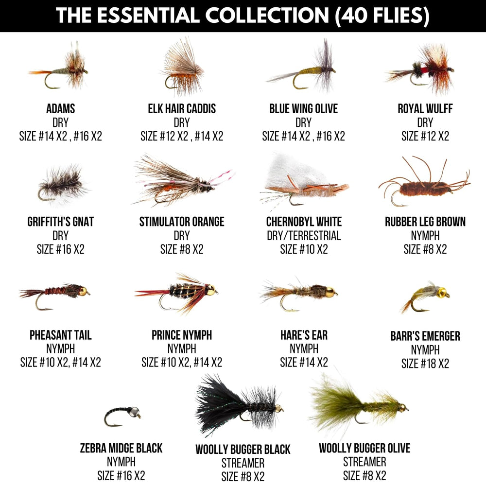Dry fly assortment for trout fishing