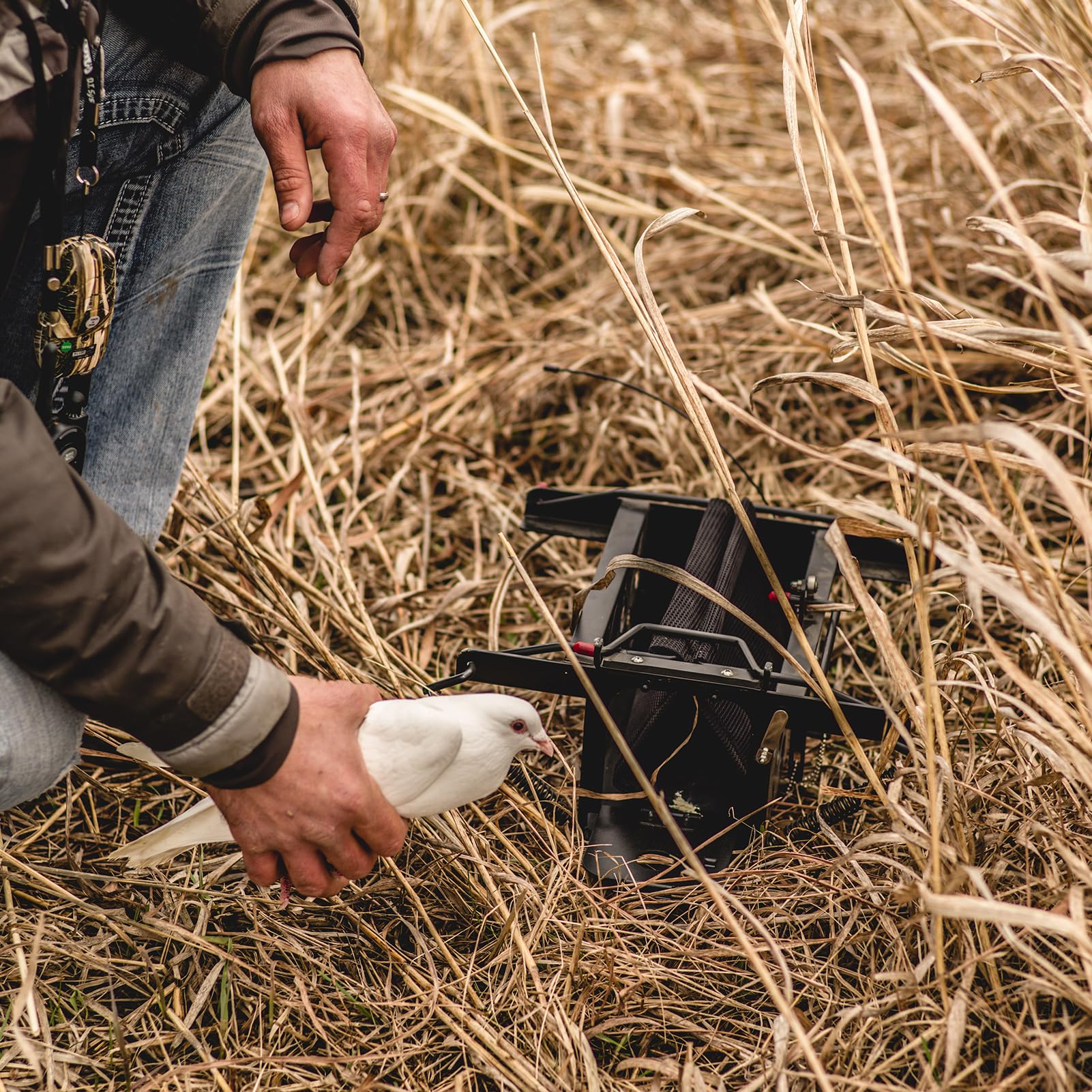 DT Systems 500 Series Remote Beeper Locator aids marking birds at distance.