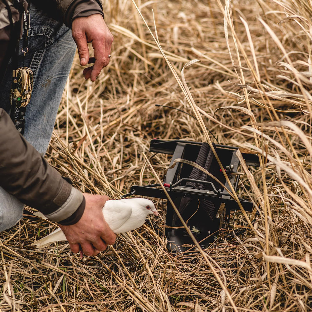 DT Systems 500 Series Remote Beeper Locator aids marking birds at distance.
