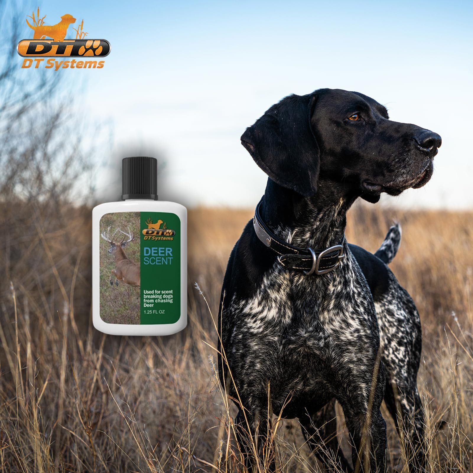 DT Systems Deer Breaking Training Scent used to curb deer trail chasing