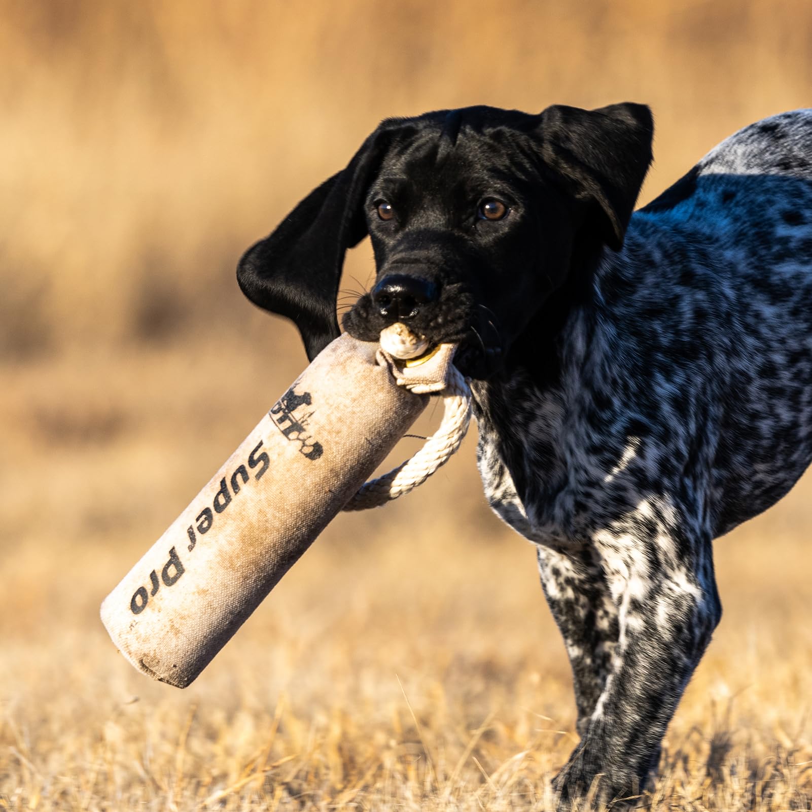 DT Systems dummy design is gentle on the dog's mouth for comfortable retrieves