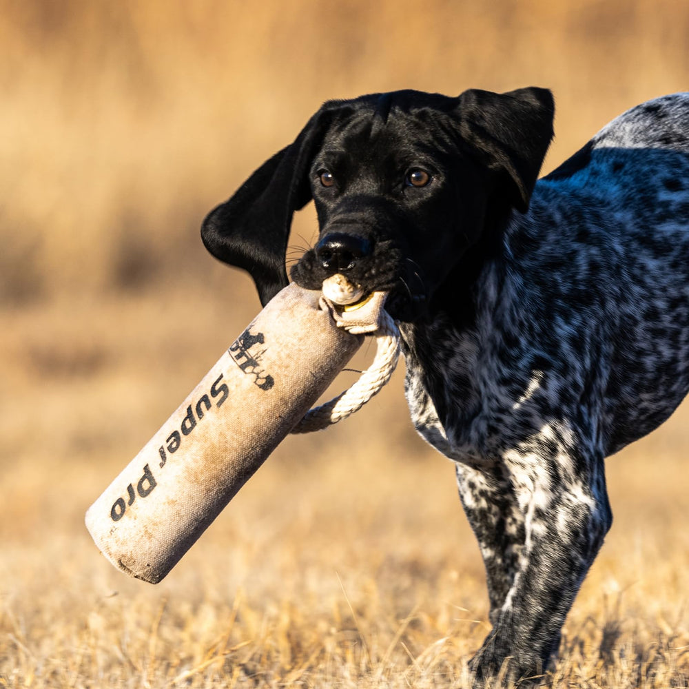 DT Systems dummy design is gentle on the dog's mouth for comfortable retrieves