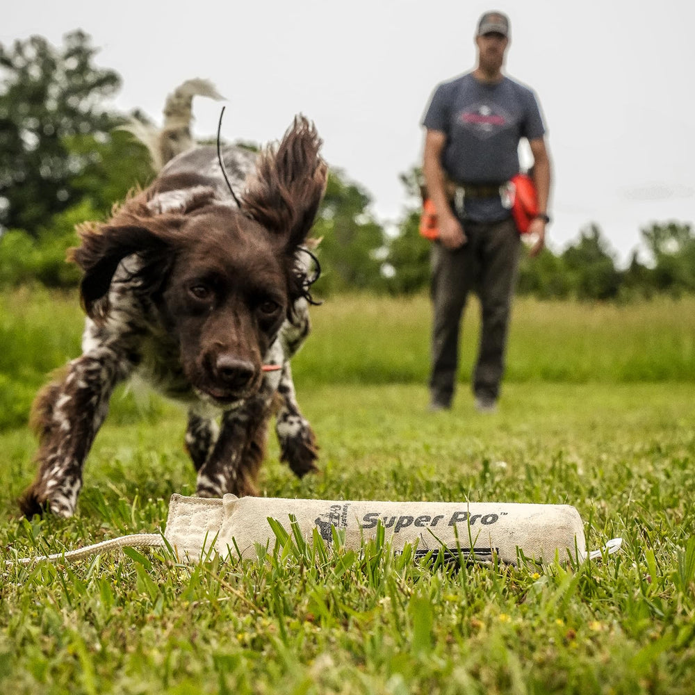 DT Systems training bumpers suitable for dogs of all ages and skill levels