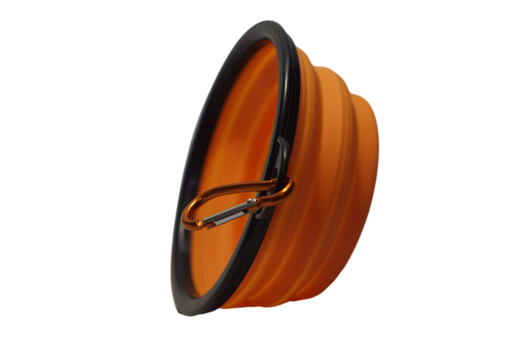 DT Systems Out Rider Pro Water Bowl provides portable hydration in the field
