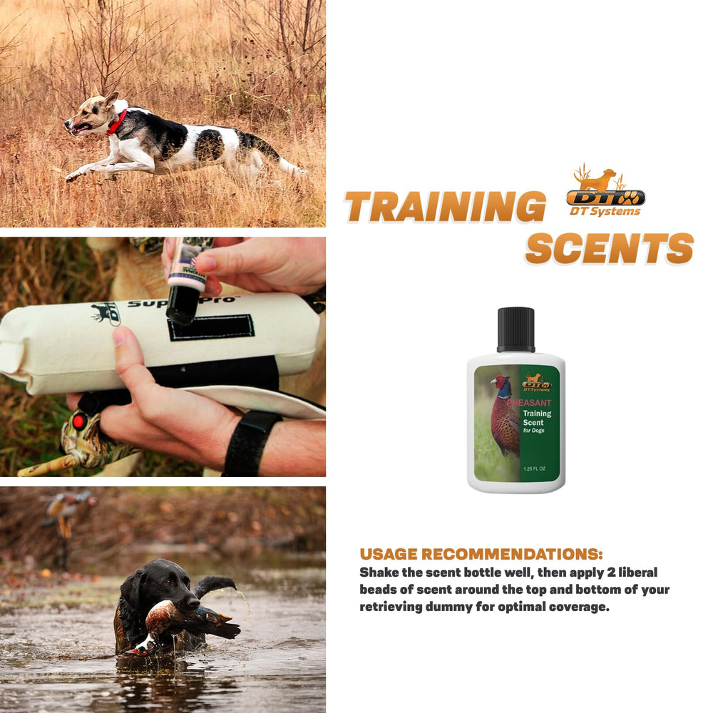 DT Systems Super Pro Series dog-tracking-field shows scent-driven tracking potential.