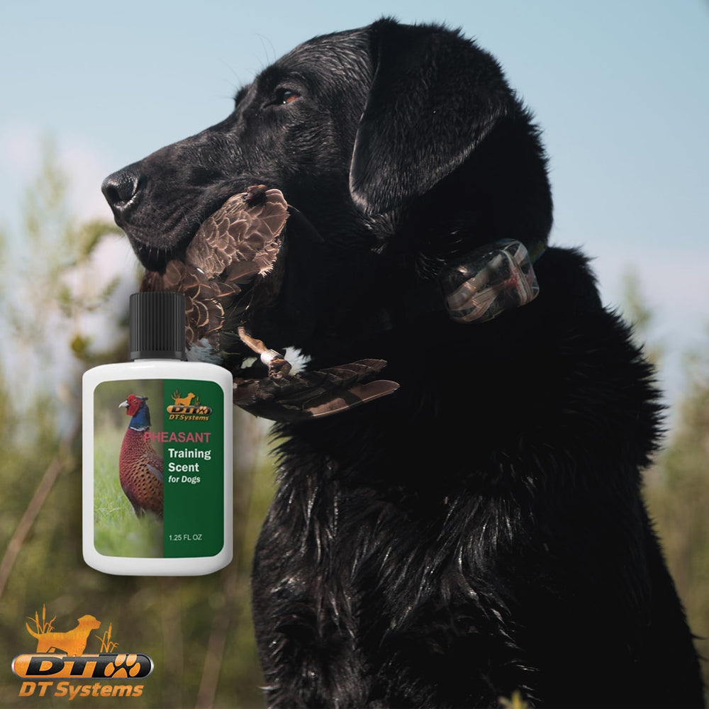 DT Systems scent-dummy-coating prepares realistic scent trails for retriever training.