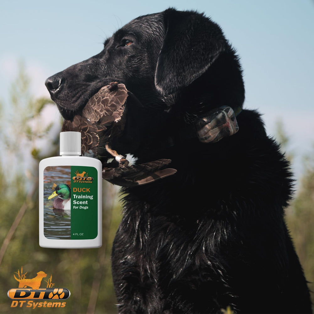 DT Systems Training Scent on a decoy helps sharpen dog's ability to locate game.