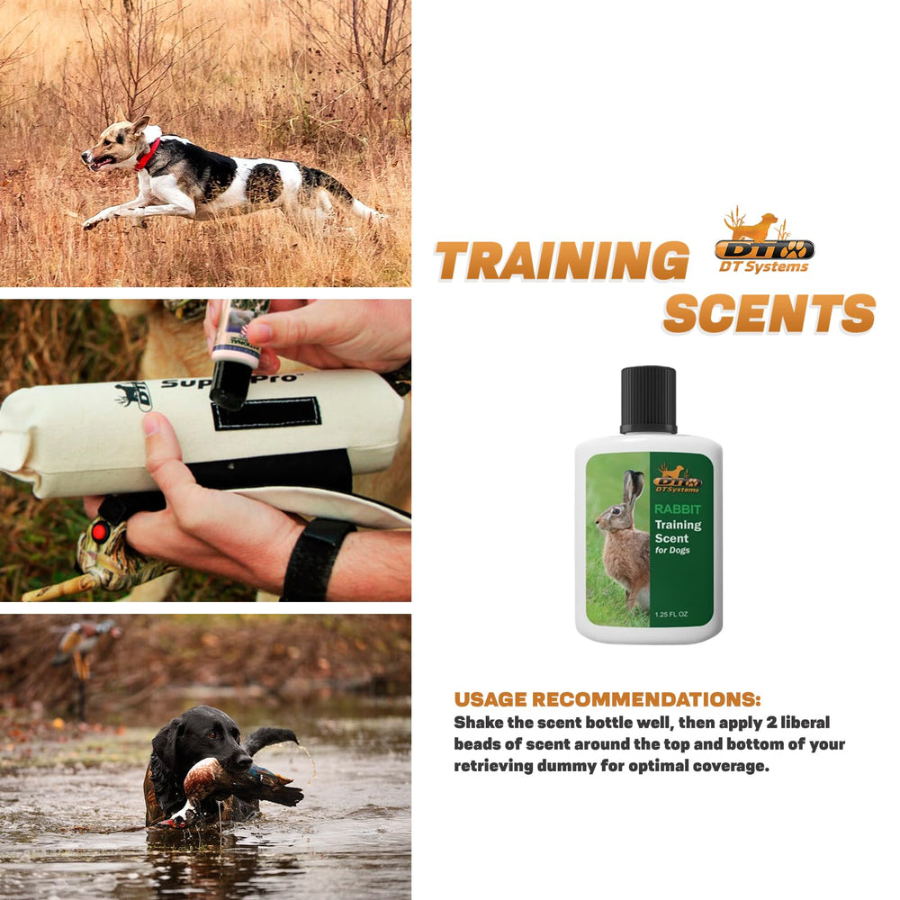 DT Systems training scents on dog trail helps improve tracking in thick cover.
