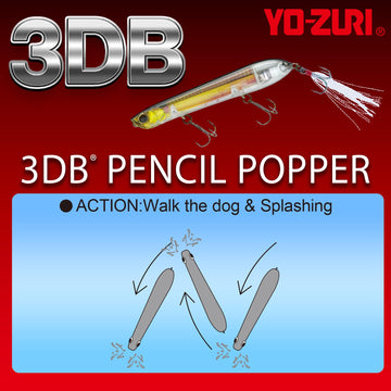 Duel Yo-Zuri 3DB Pencil Popper ghost sexy shad shows 3D internal prism reflections
