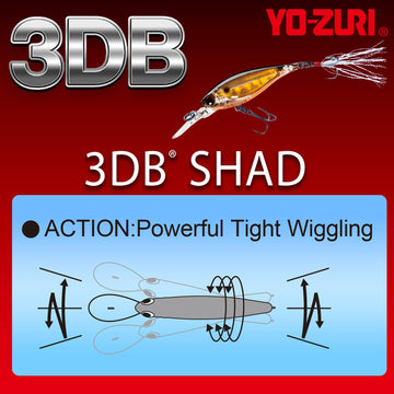 Duel Yo-Zuri 3DB Shad with pulsating Mylar tailhook increases surface flash and lure visibility.