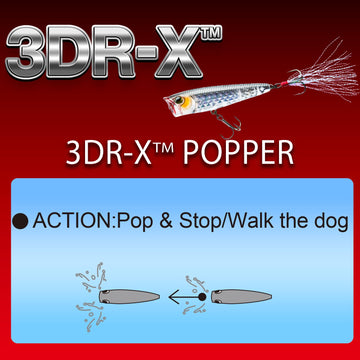Duel Yo-Zuri 3DR-X Popper rattles visible for added attraction.
