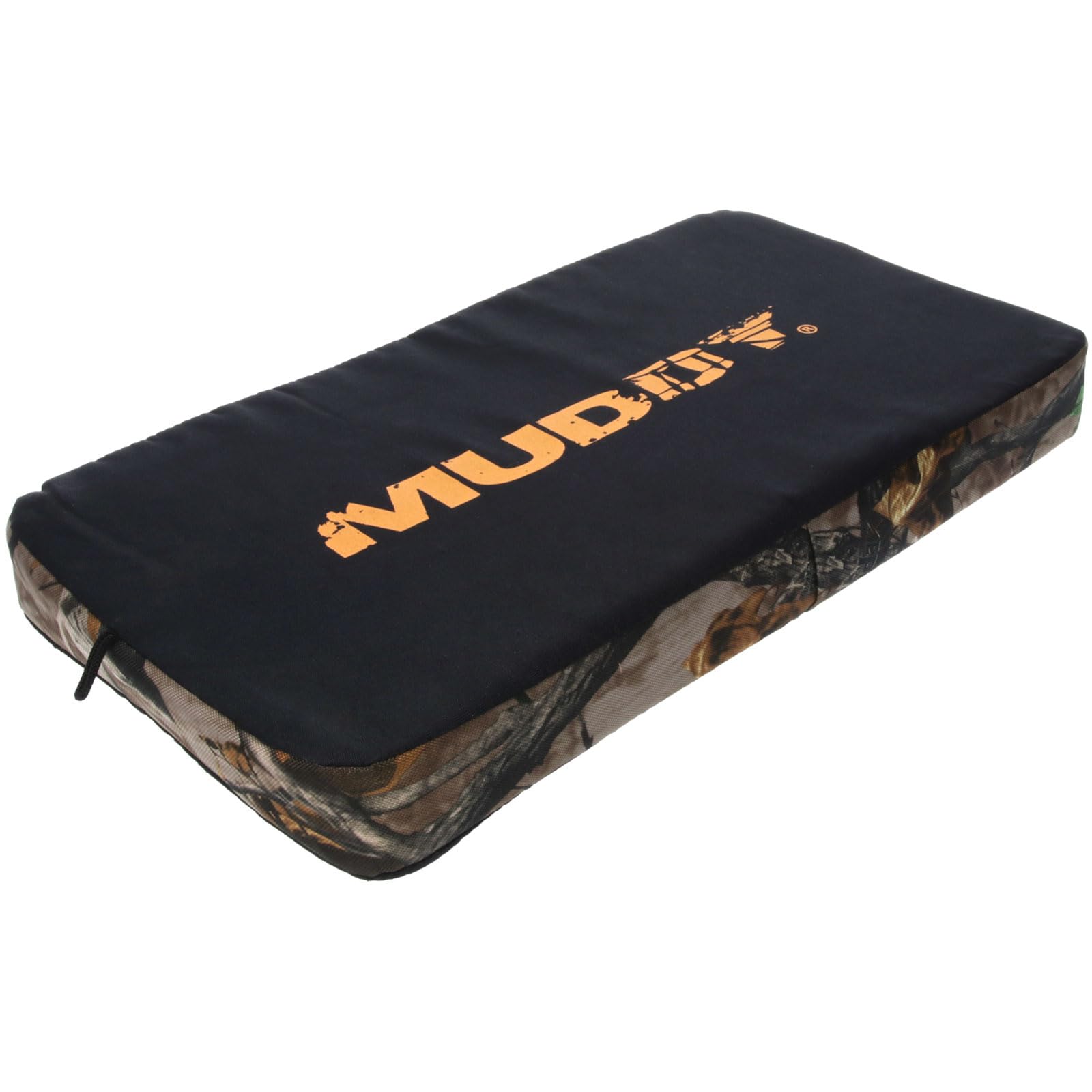 Cushion secured to a treestand using two buckles