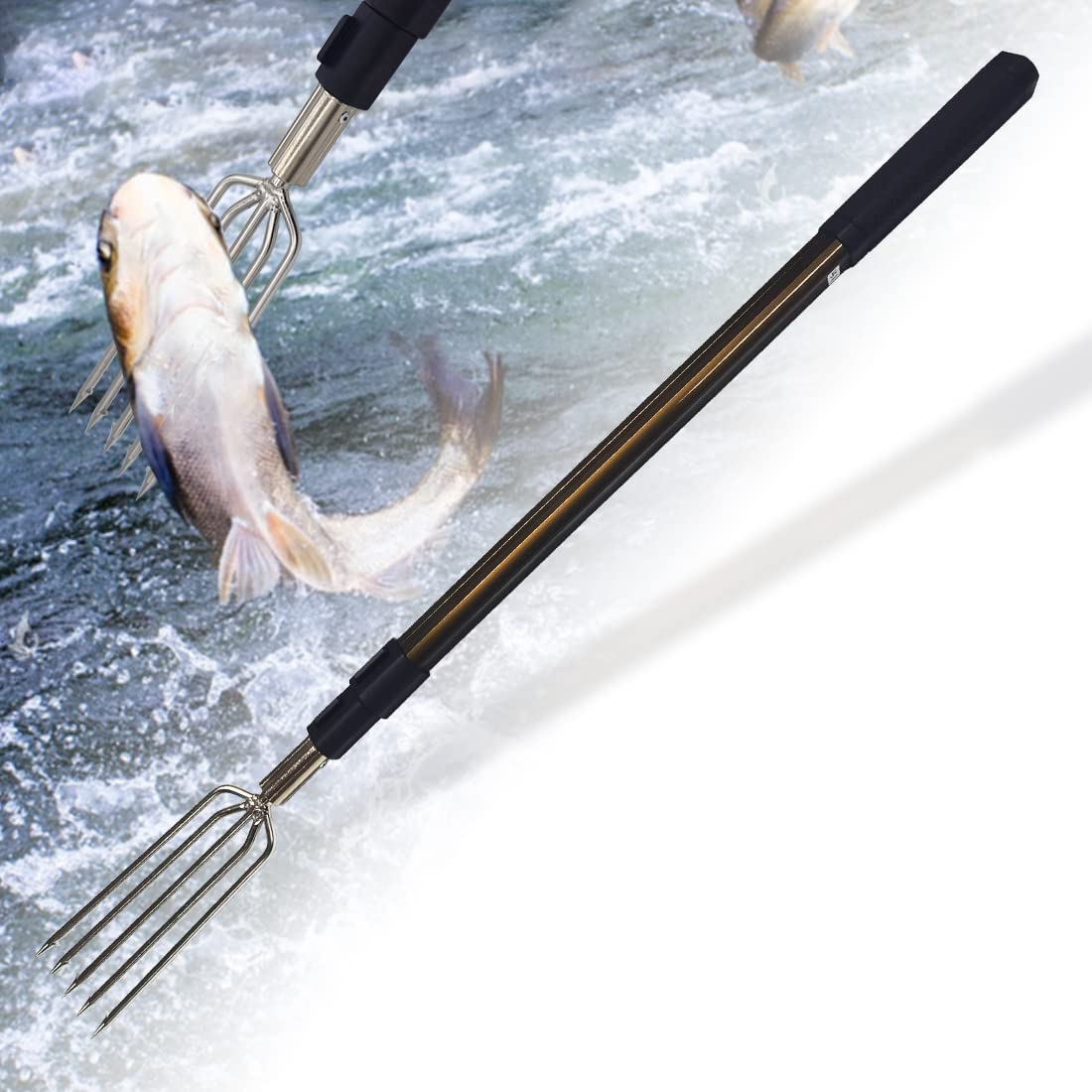 Dutiplus 68-inch telescopic rod with 5-prong harpoon