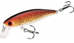 Dynamic Lures trout lure with inside BB chamber, enhances upright swim and realism.