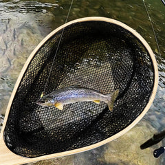 DYTesa 13-inch deep net pocket securely holds trout and salmon.