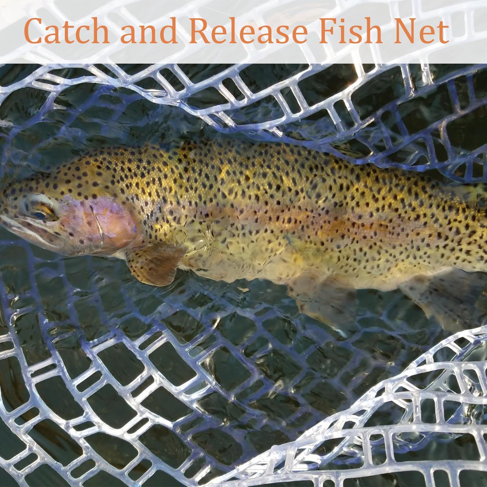 Dytesa versatile river net ideal for fly fishing in streams and rivers.
