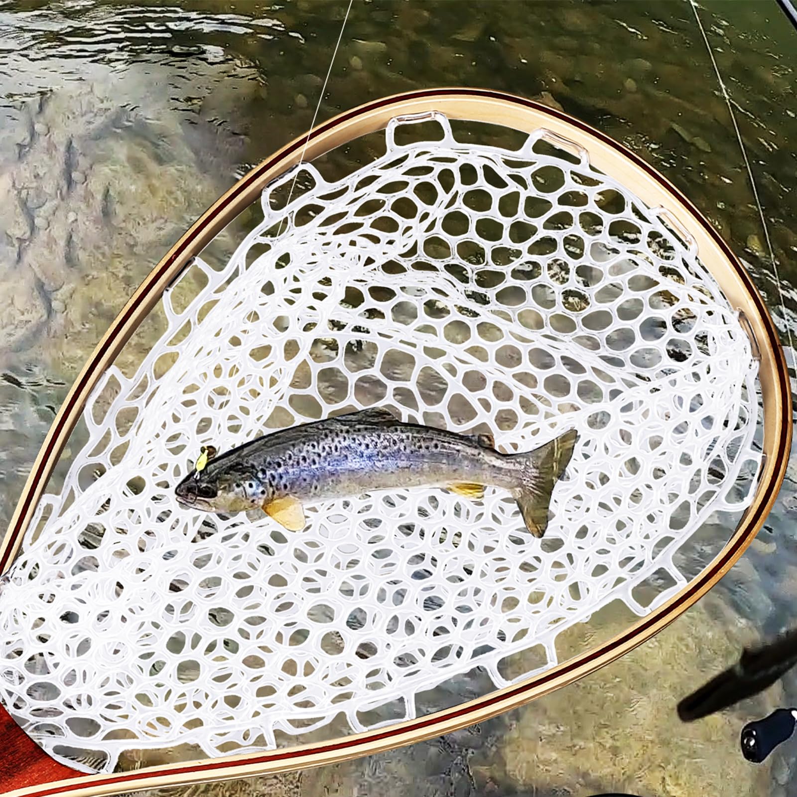 DYTesa net features clear holes for quick drainage.