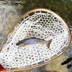 DYTesa net features clear holes for quick drainage.