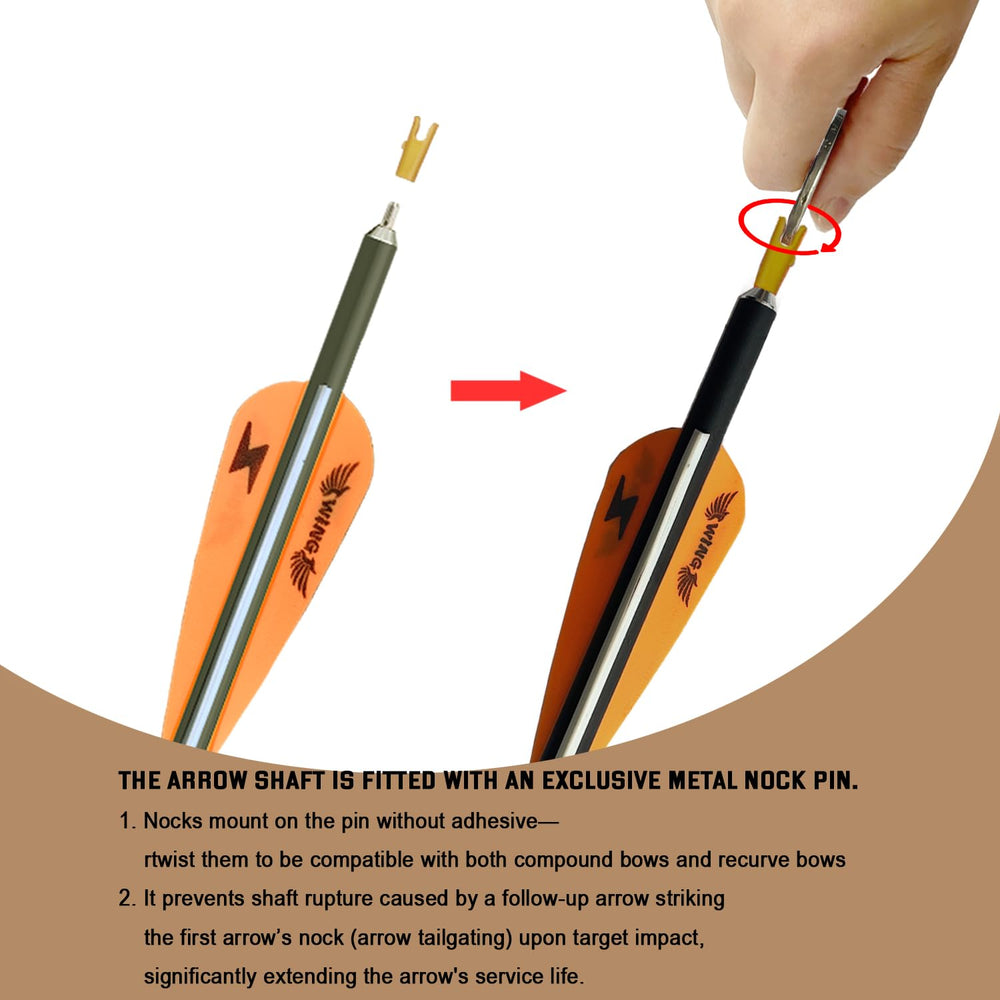 e5e10 31inch carbon arrow length close-up for precise targeting practice