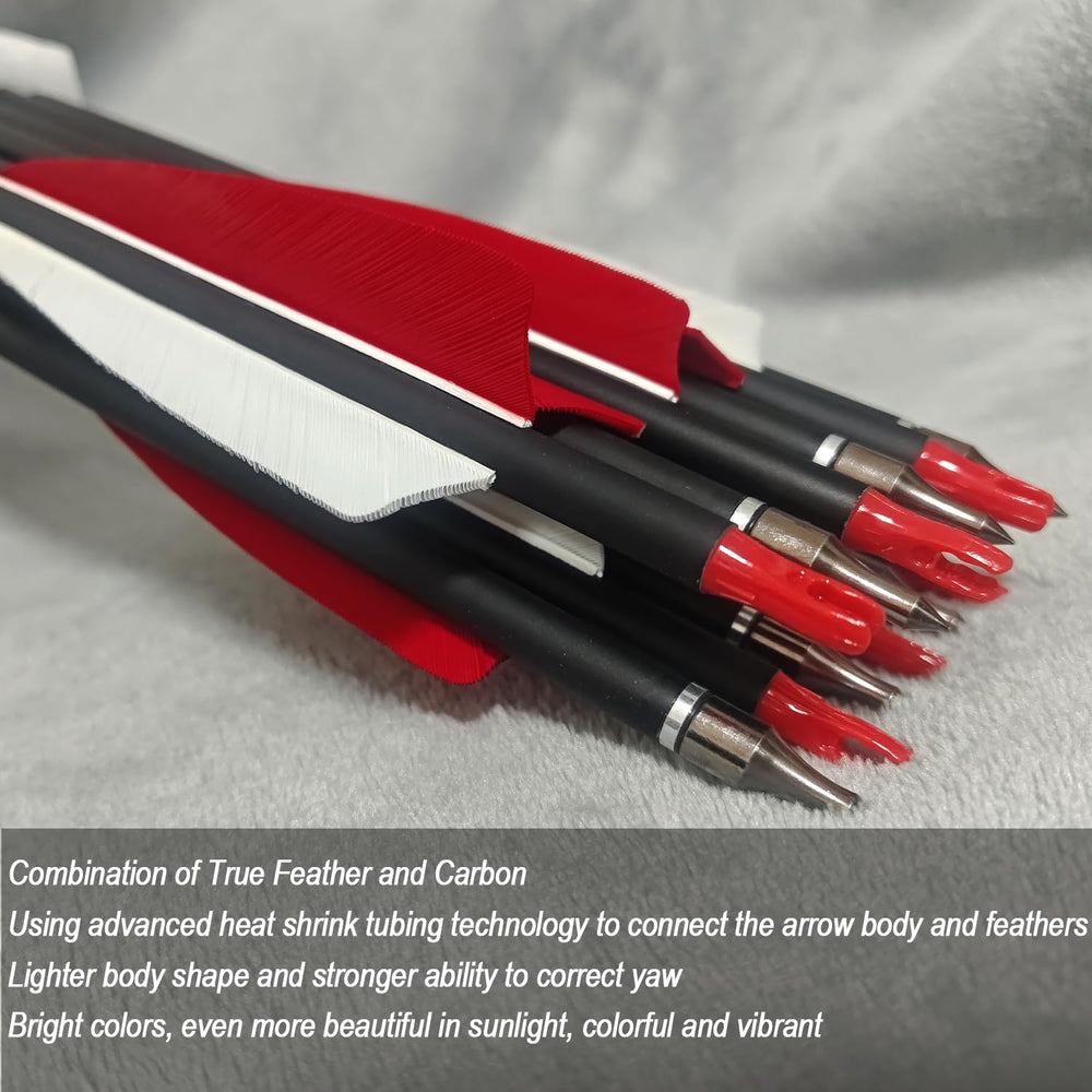e5e10 arrow with removable tips for easy field maintenance