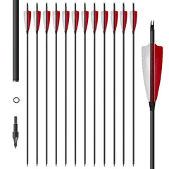 e5e10 carbon arrow 30in box for precise target practice