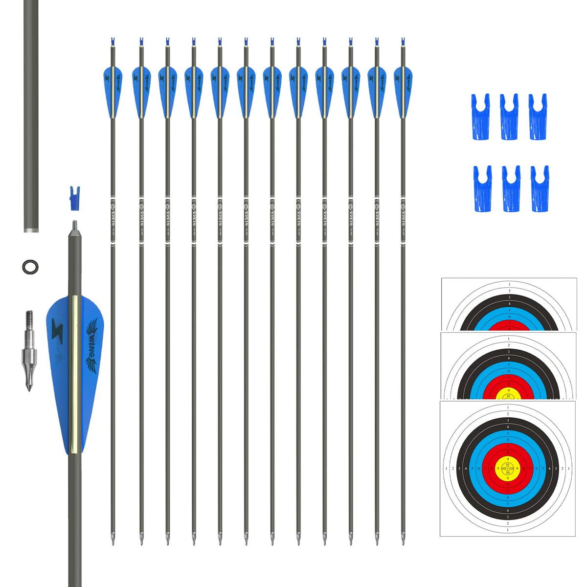 e5e10 31in carbon arrow closeup of blue-white fletching for stable flight.