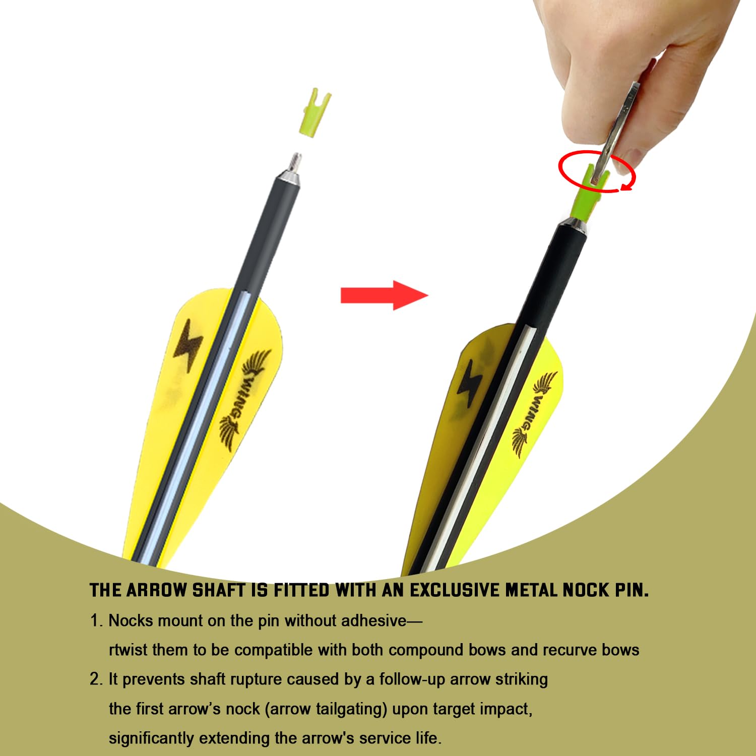 e5e10 carbon arrow 31inch showing removable tips for customization
