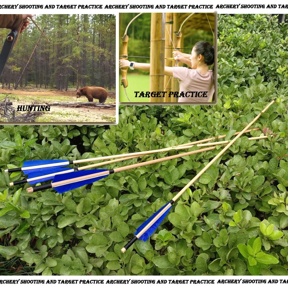 e5e10 iron-tipped arrows offer durable daily practice